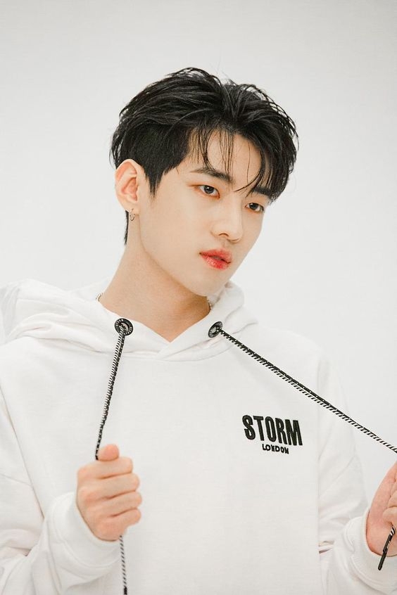 朴宰燦獲得「男演員人氣獎」