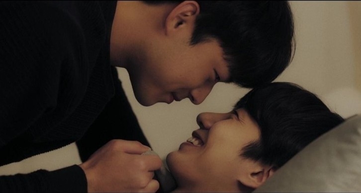 《致我的星星》