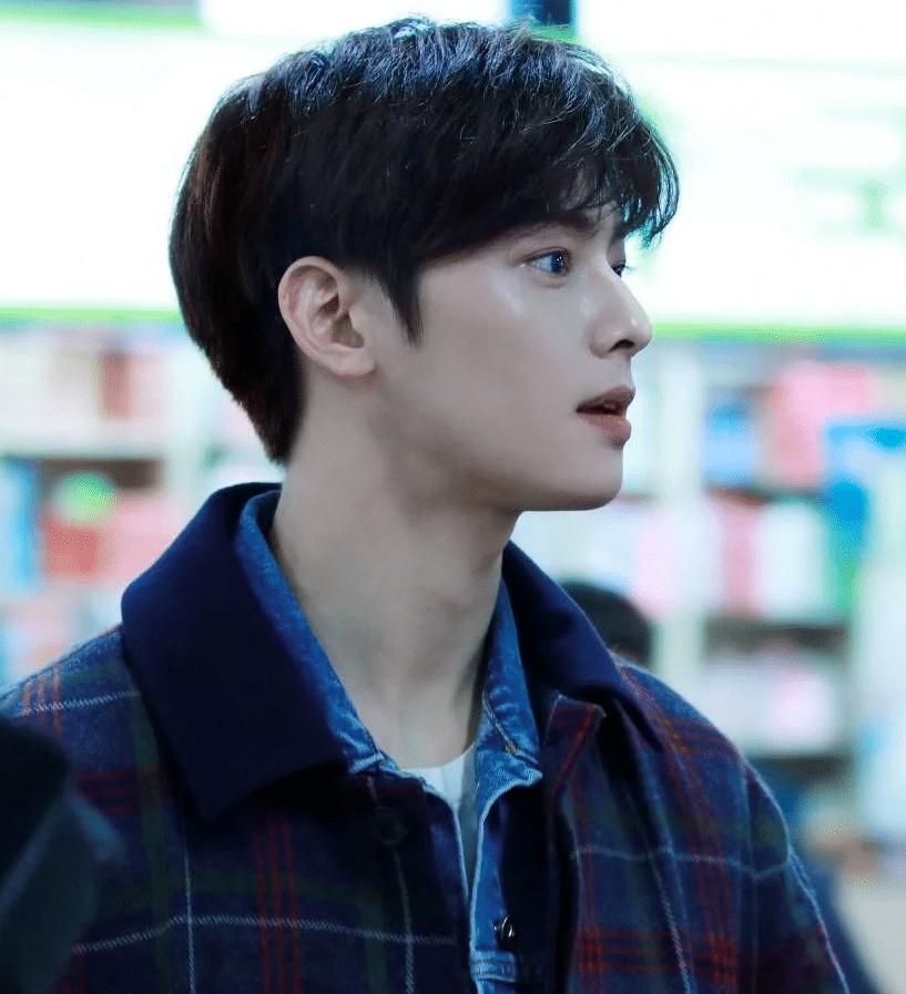 韓國美男代表：車銀優