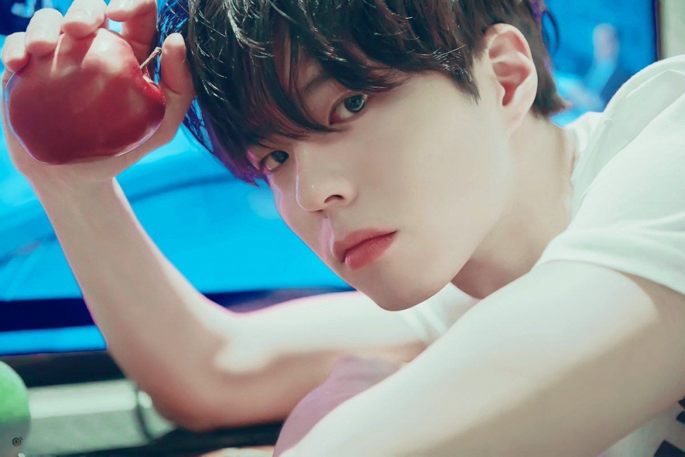 韓國美男代表：朴寶劍