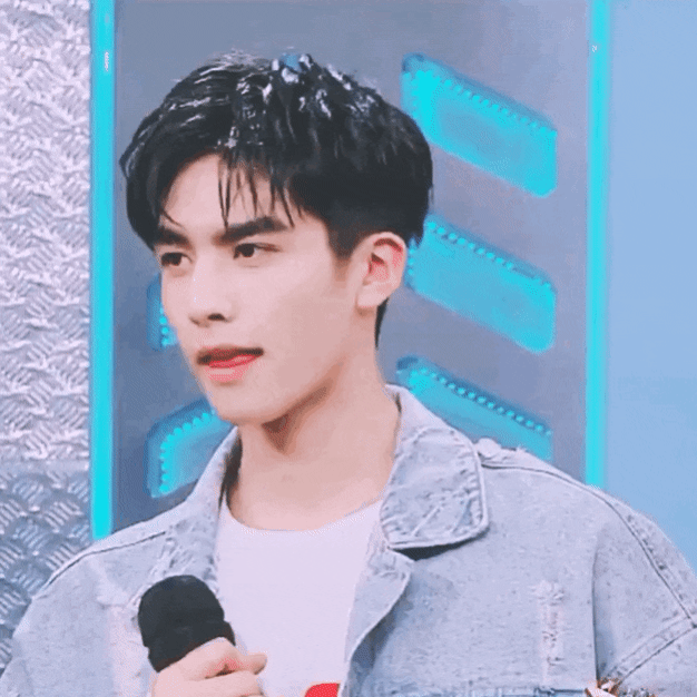 中國美男代表：宋威龍