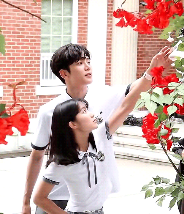 《偶然發現的一天》