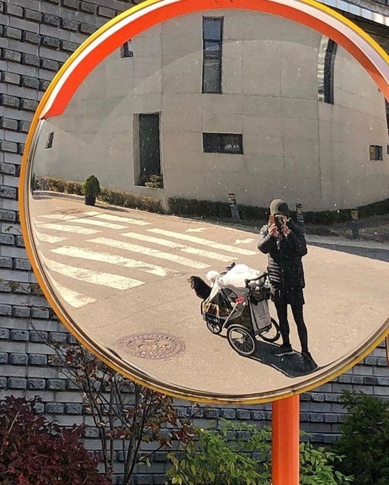 鄭敬淏遛狗裝扮引發熱議