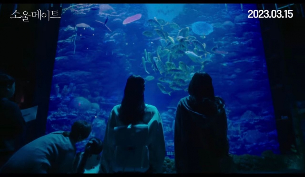 兩人到水族館去看海底世界