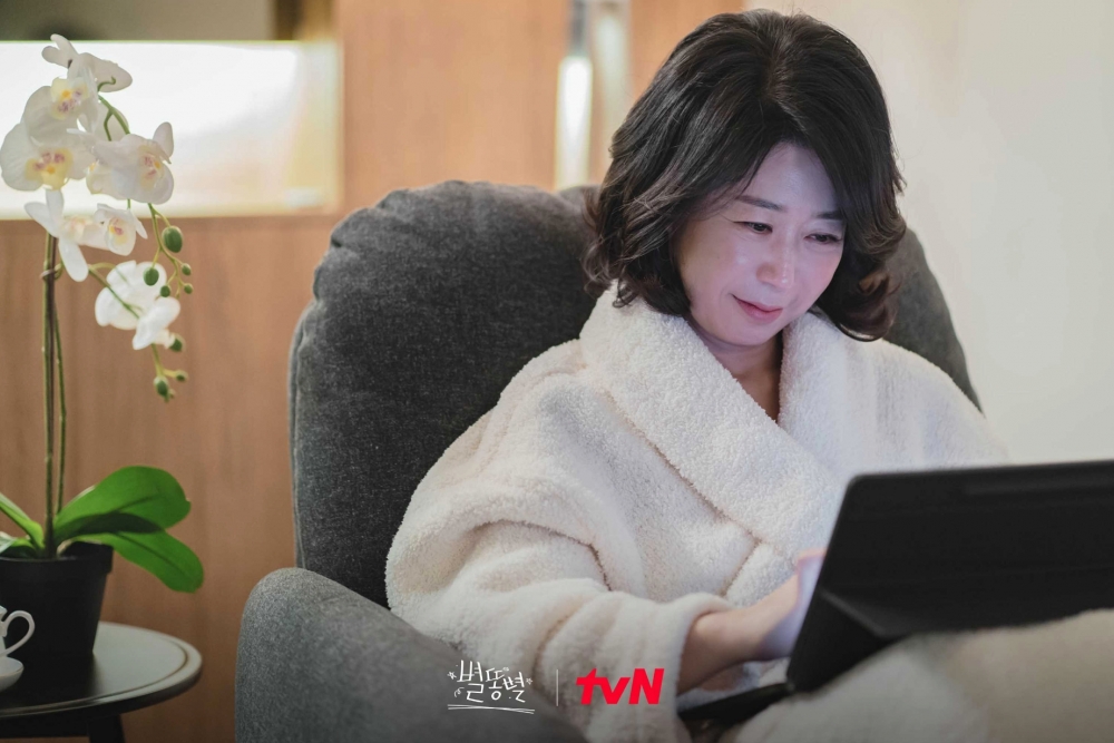 雙面人家政阿姨