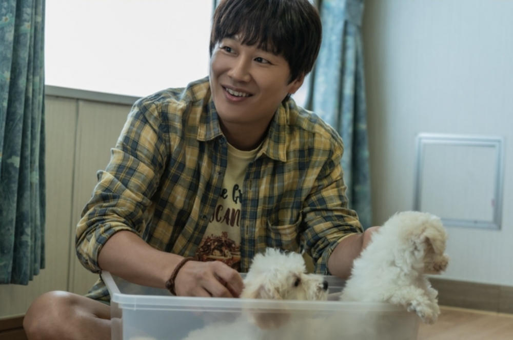 車太鉉飾「鎮國」