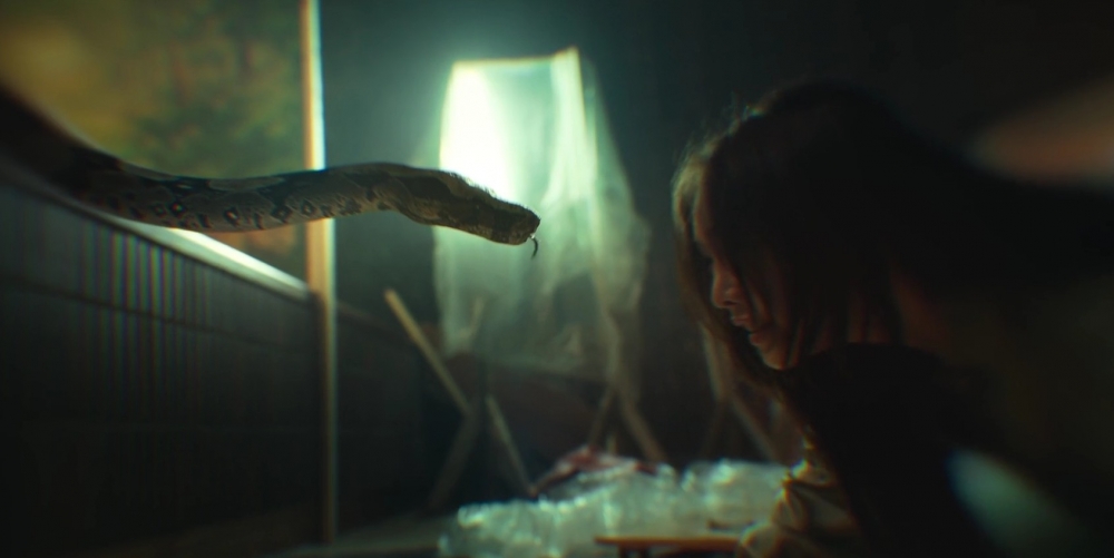 除了和蛇近距離對視的場景是他們單獨拍攝以外，其他的場景都是有專業人員在場指導的