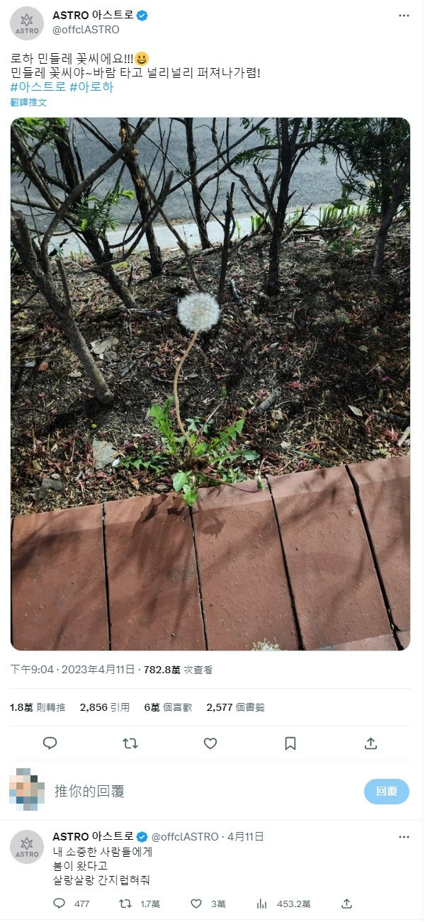 文彬生前上傳的最後一張照片是蒲公英