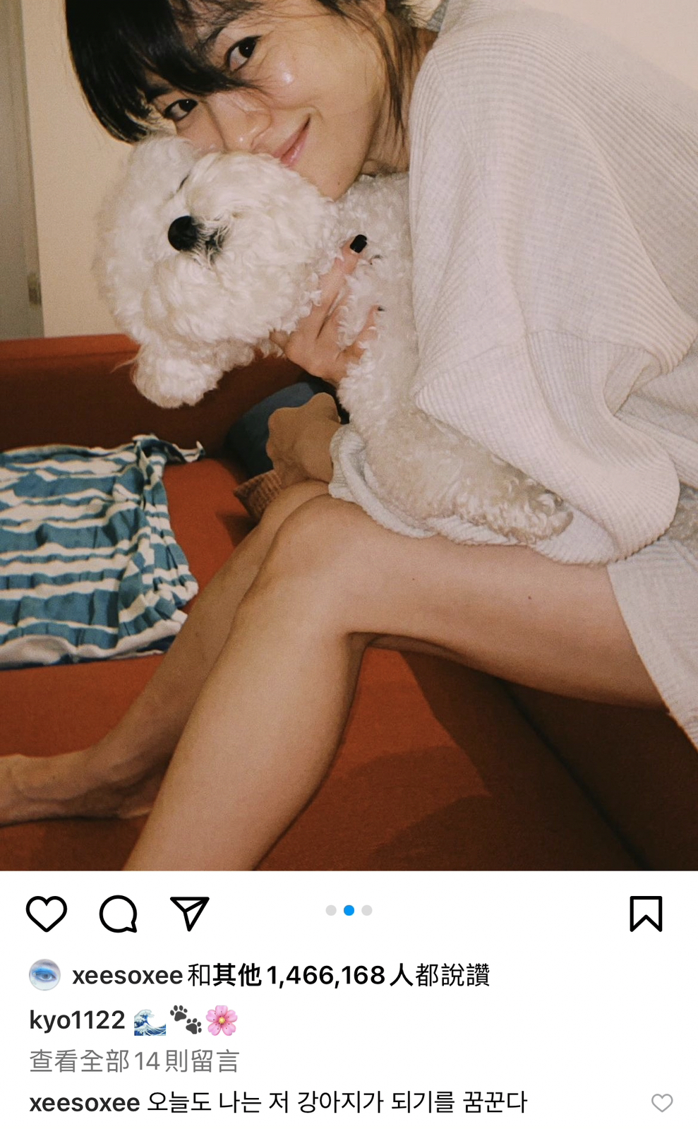 韓韶禧回覆宋慧喬的照片：「今天我也夢想成為那隻小狗！」