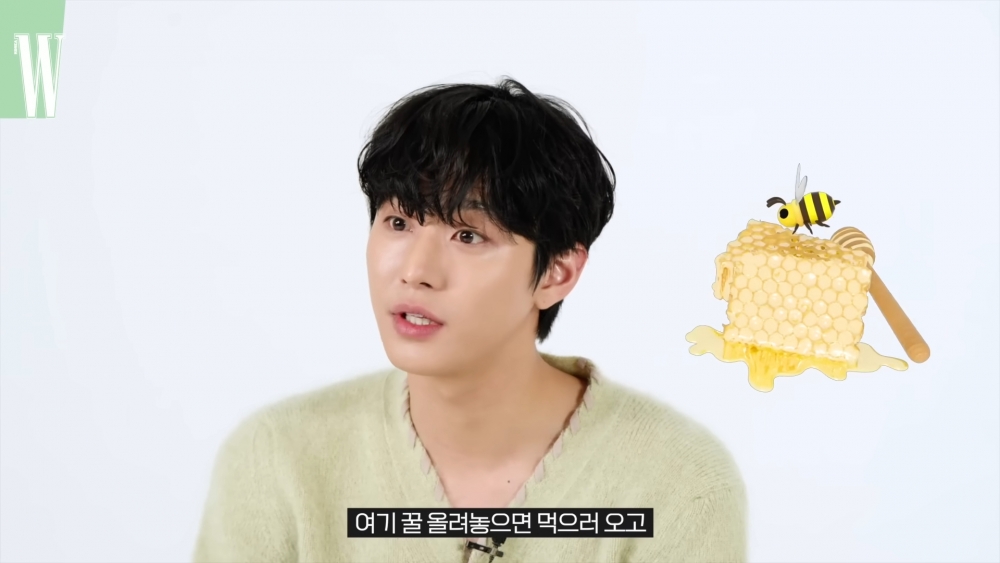 熱情分享蜜蜂們的交流方式中