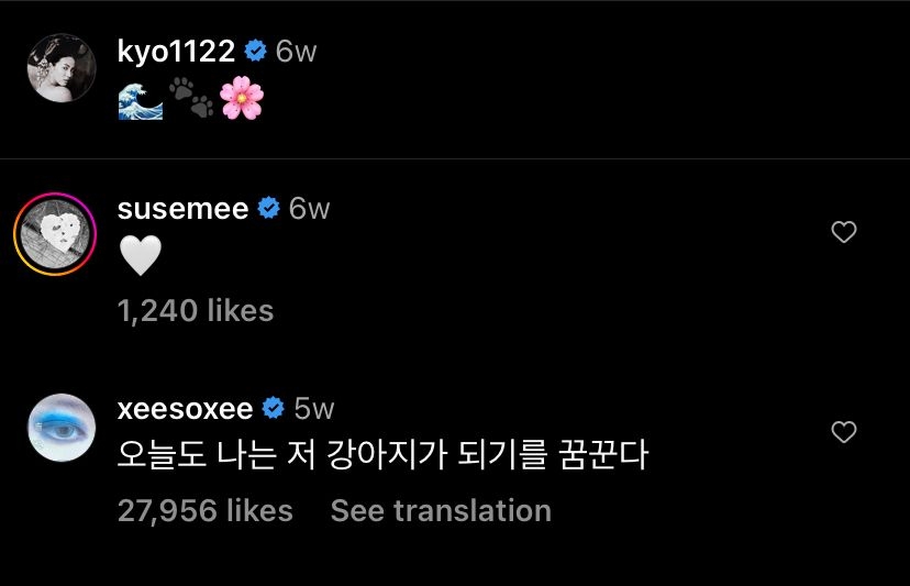 韓韶禧回復：今晚我夢想是成為那隻狗