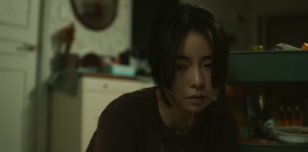 《有院子的家》