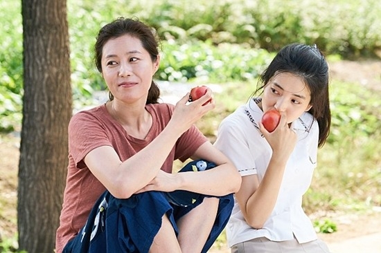 《小森林》文素利與金泰梨再續母女緣