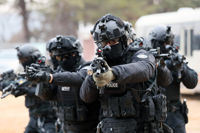 特殊任務隊(SDT)