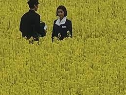 之前流出的路透照