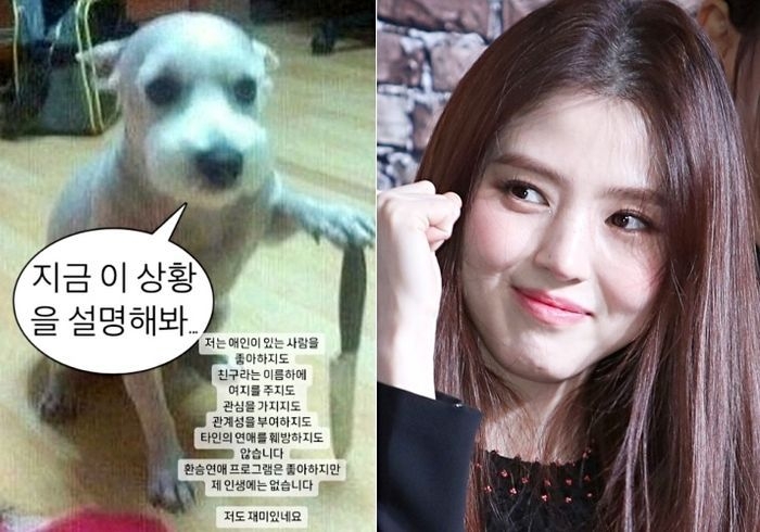 韓韶禧在IG限動回應：我也覺得很有趣