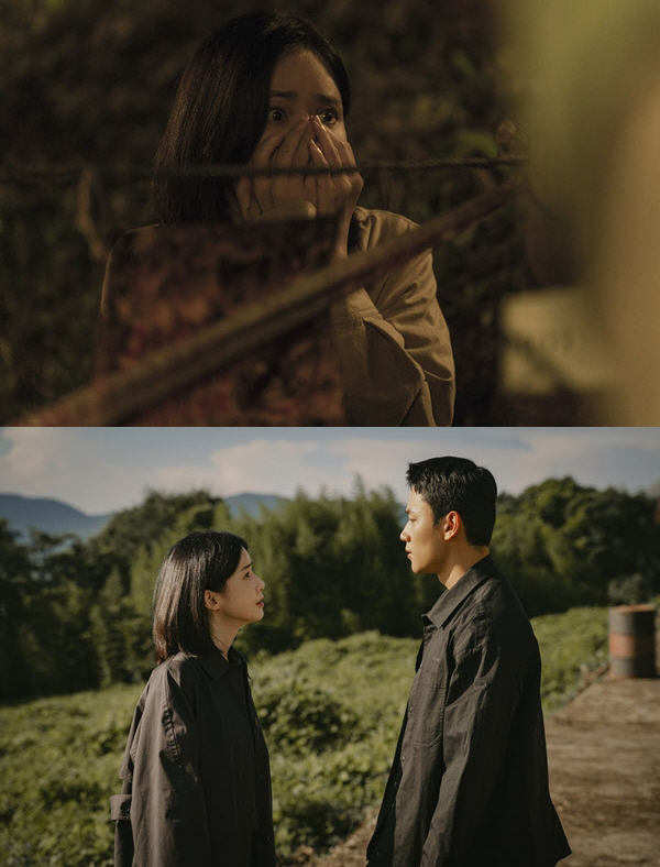 《Hide》3月23日首播