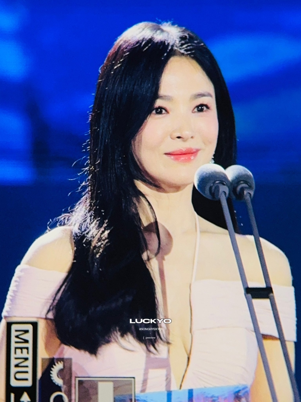 宋慧喬(頒獎嘉賓)