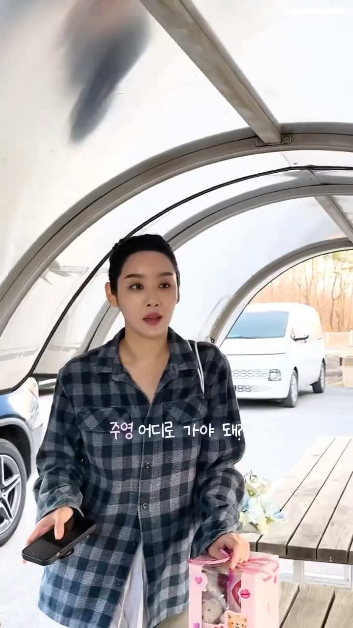 想幫忙叫車的車珠英