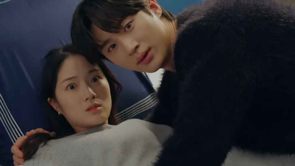 《The Auditors監察》