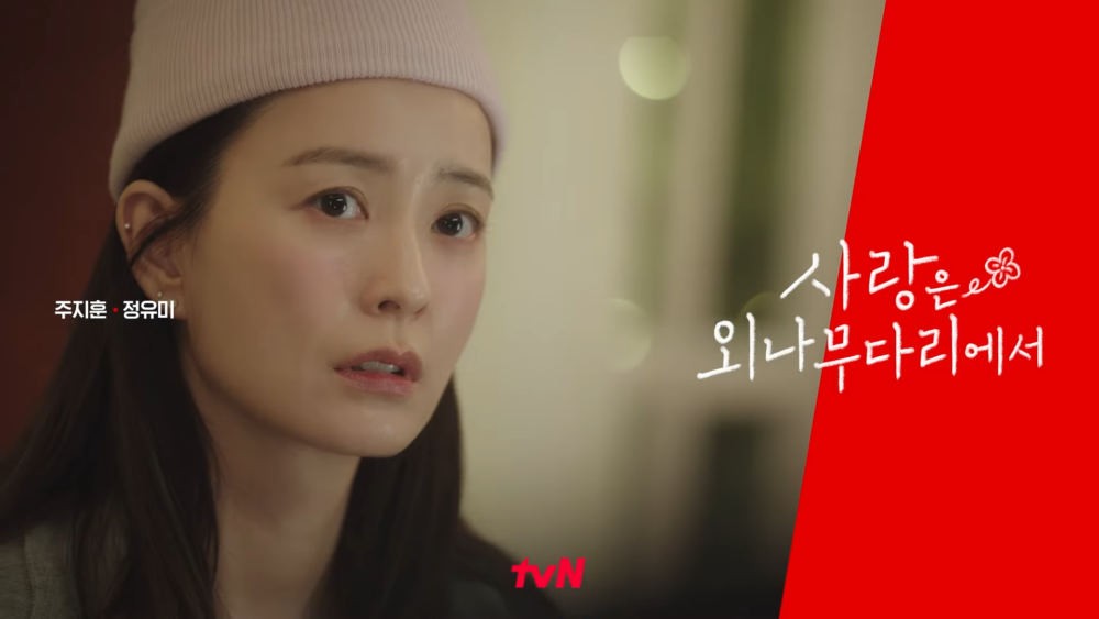 《愛在獨木橋》