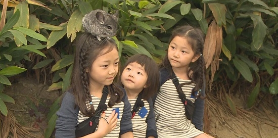 《爸爸！我們去哪裡？》中的三姐妹