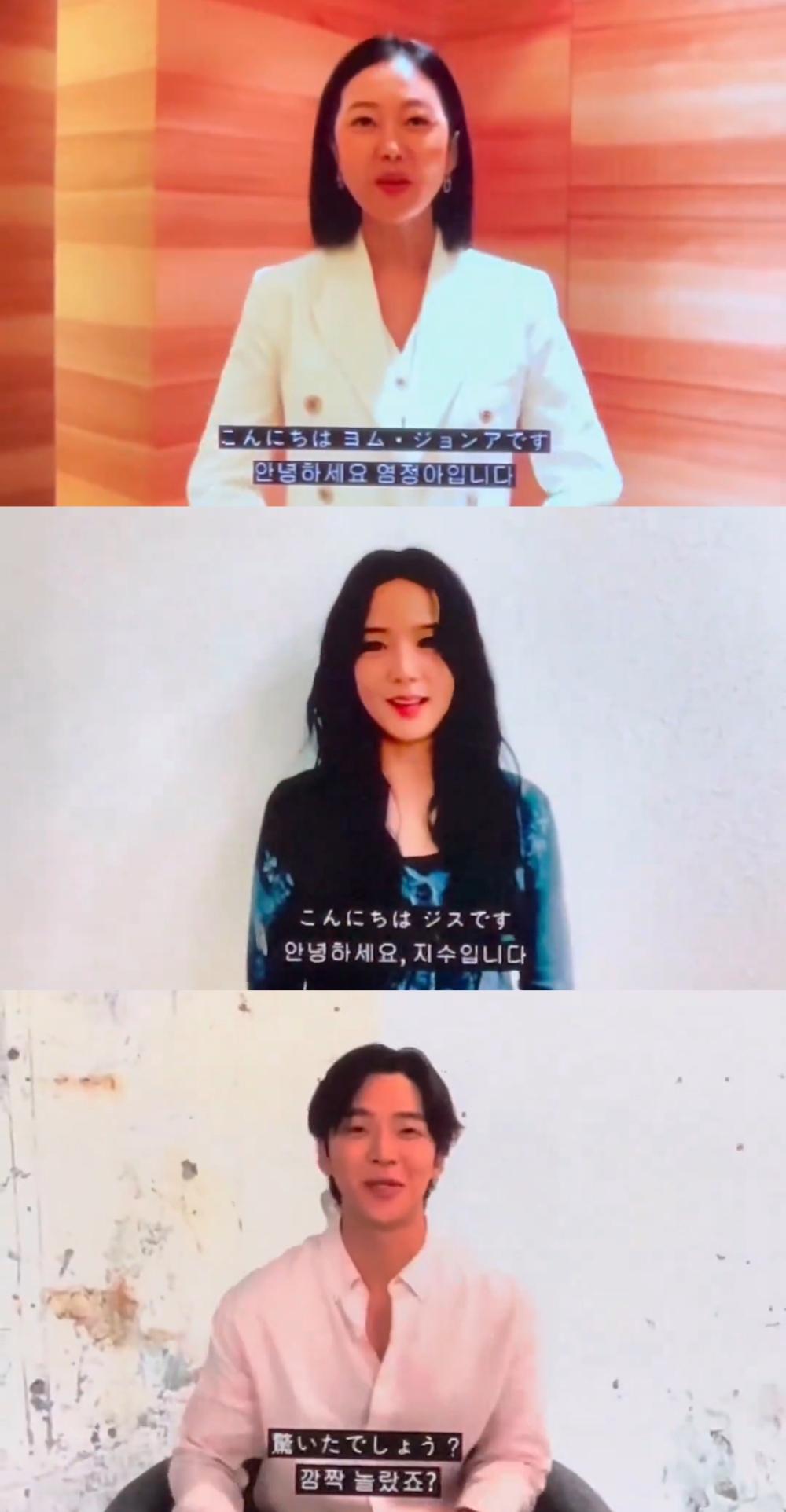 金惠奫日本見面會的應援影片好友們