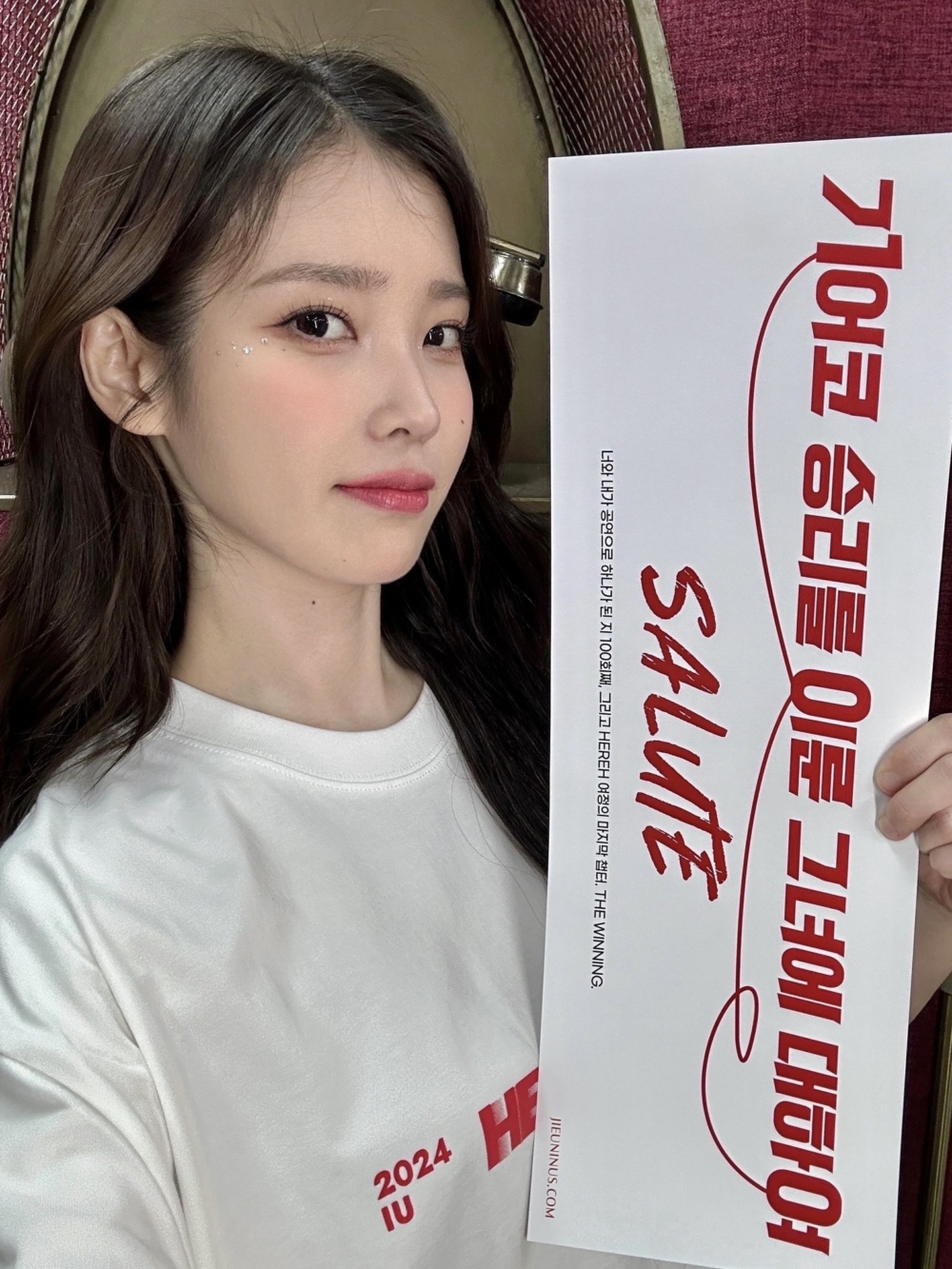 第100場個人演唱會