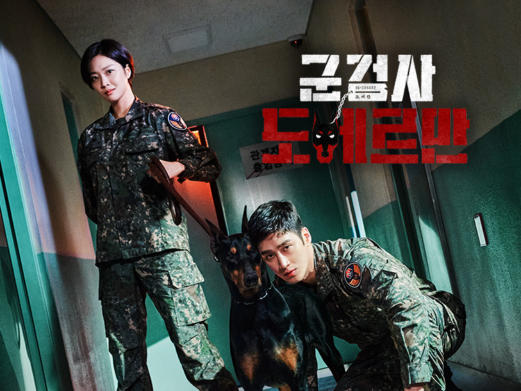 《軍檢察官多伯曼》