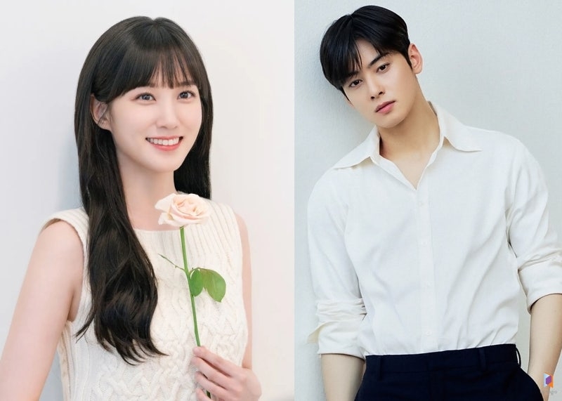 車銀優與朴恩斌主演新劇《The Wonder Fools》