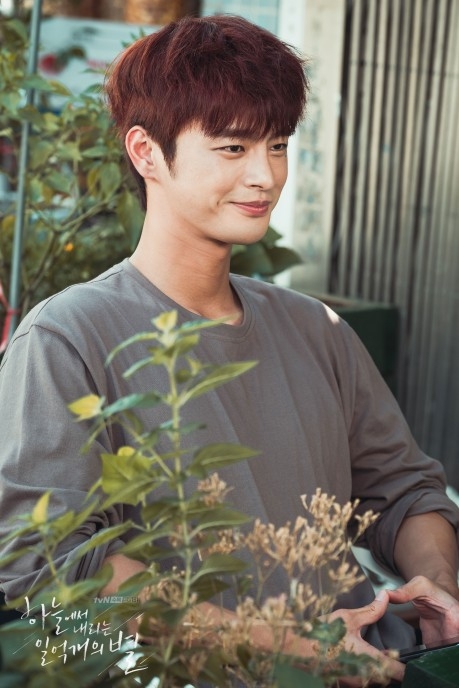 《從天而降的一億顆星》