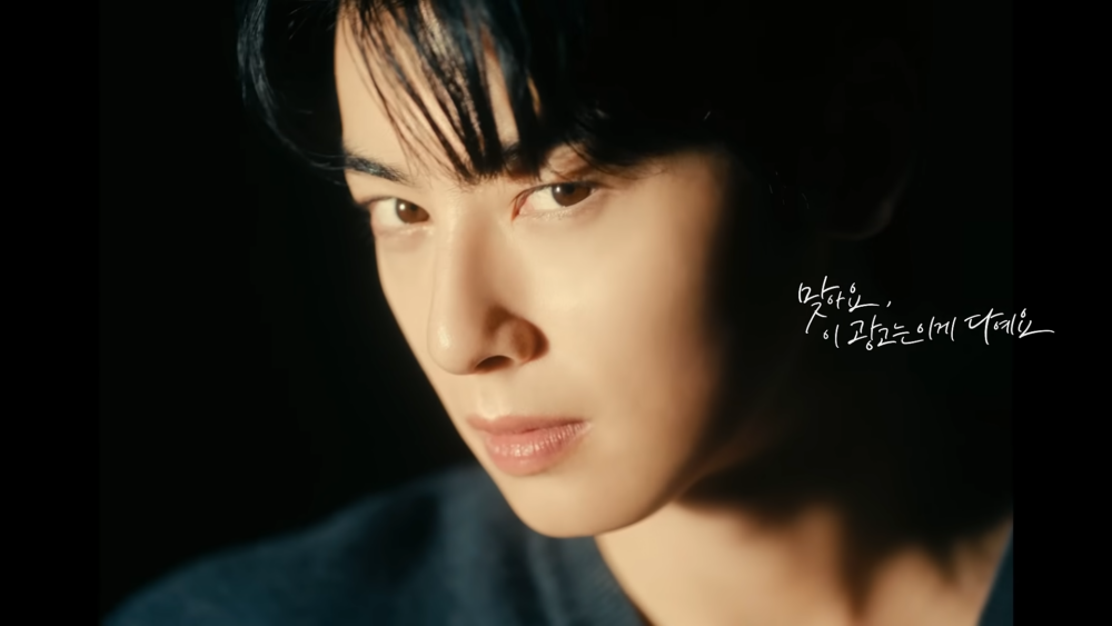 「沒錯,這廣告這個就是全部。」