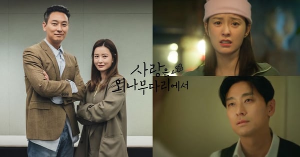 《愛在獨木橋》11月播！朱智勛時隔18年回歸愛情劇，搭檔鄭有美展開愛而不得的羅曼史~