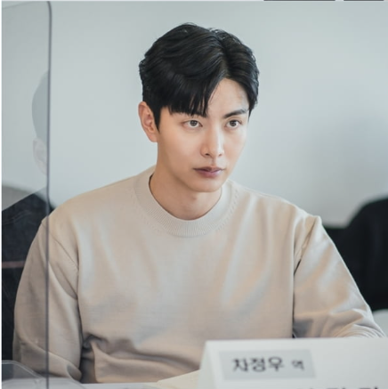 李民基飾演頂尖整形外科醫生「車正宇」