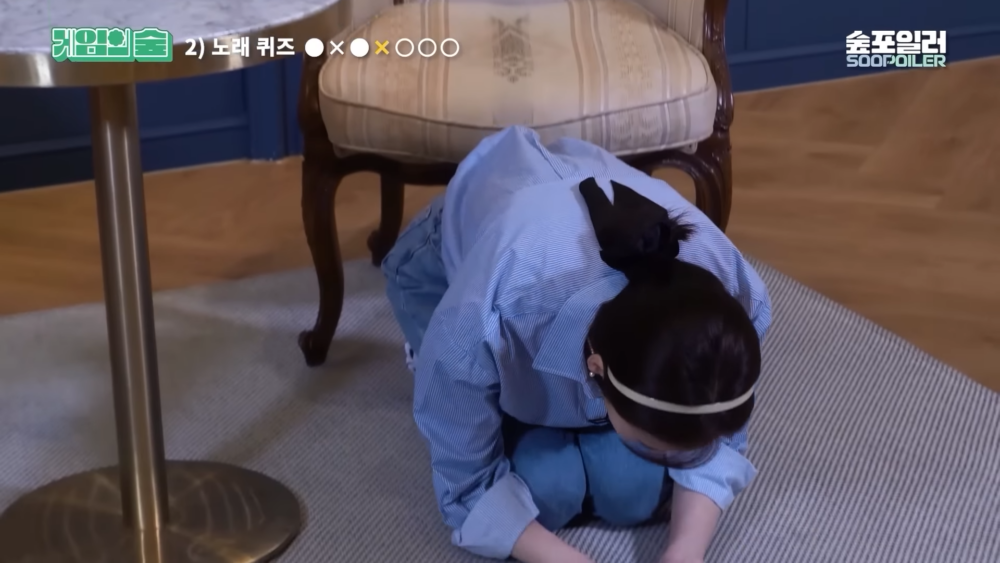 對BTS的粉絲「ARMY」道歉