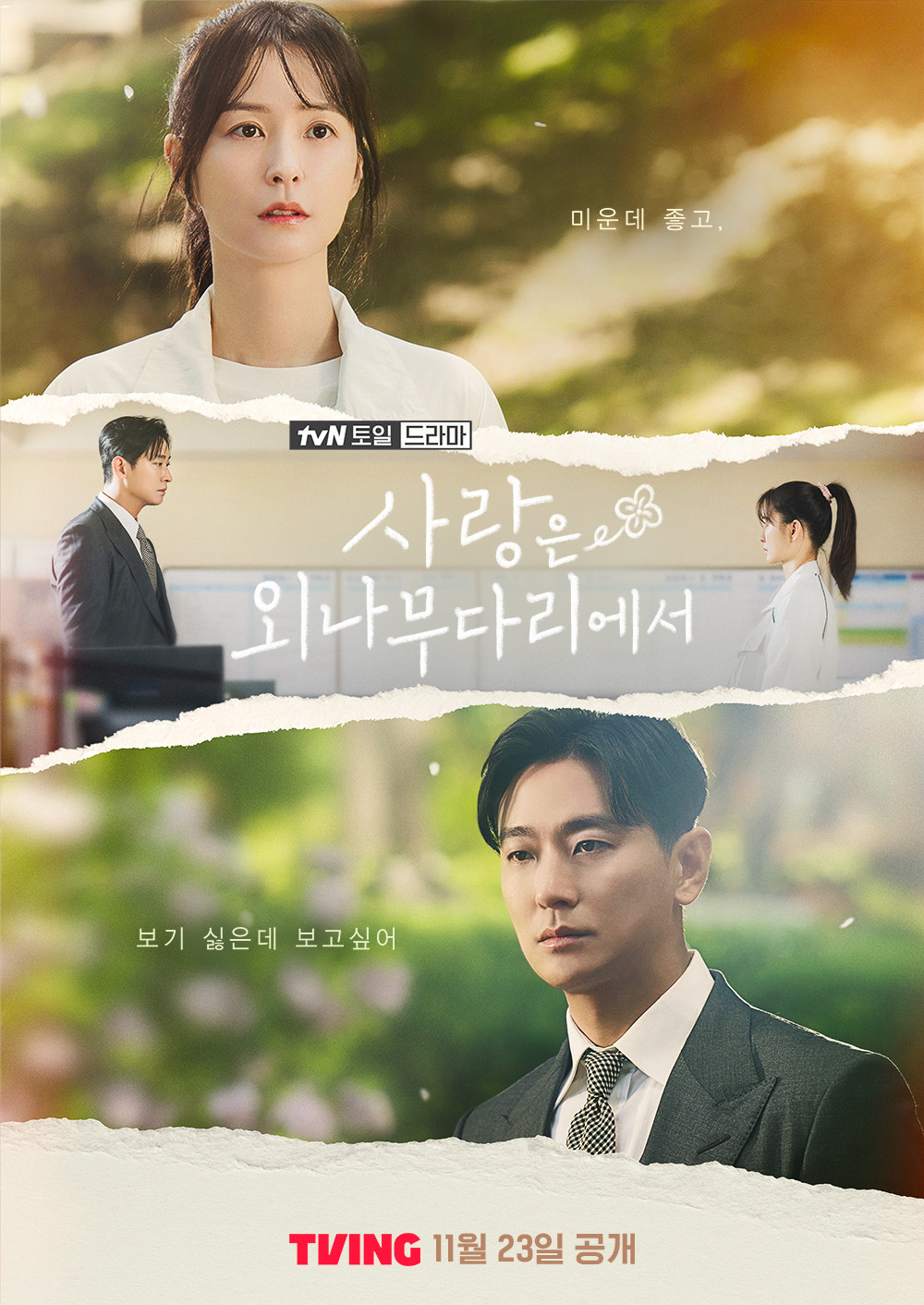 《愛在獨木橋》將於11月23日首播