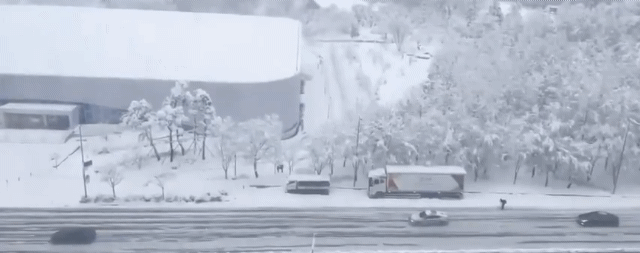 男子滑雪速度比車子還快