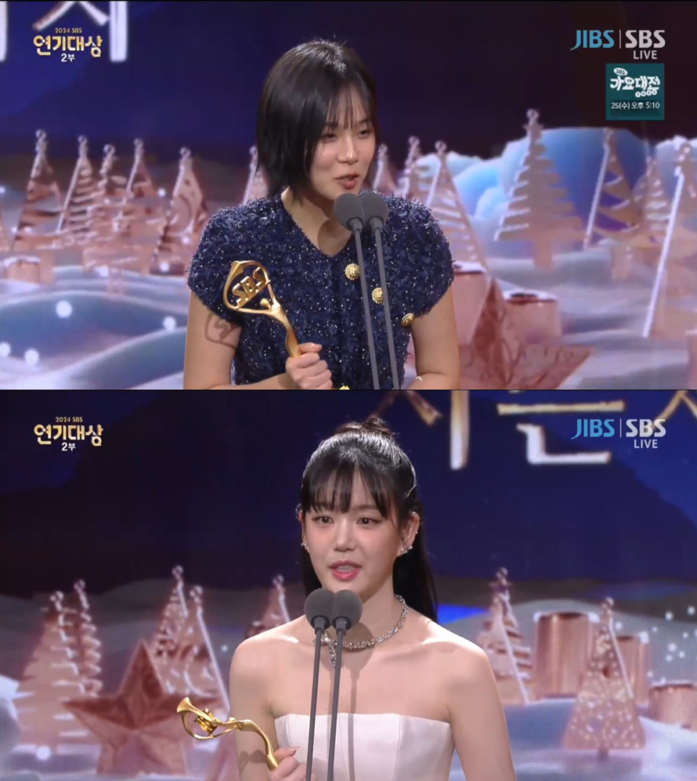 女子優秀演技獎（季播劇部門）