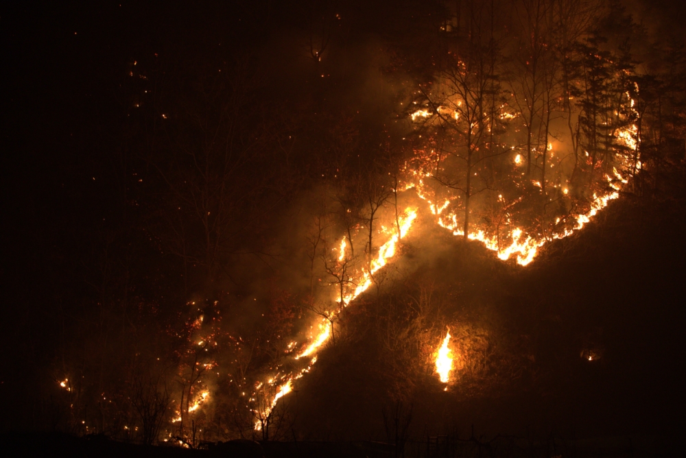 南韓各地接連發生大規模「山火」