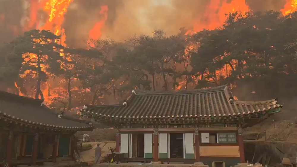 慶尚北道擁有千年歷史的古寺「雲嵐寺」被森林大火燒毀