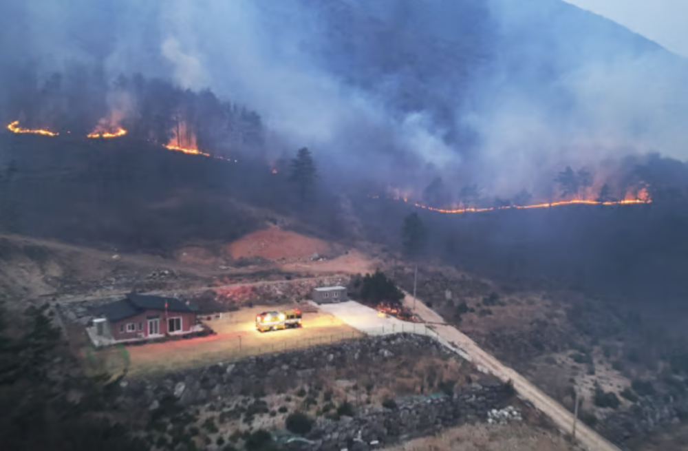 韓國各地接連發生大規模「山火」