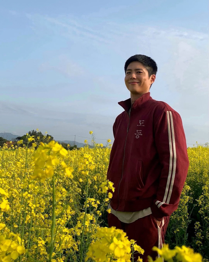 網讚：朴寶劍根本就是寬植本人！