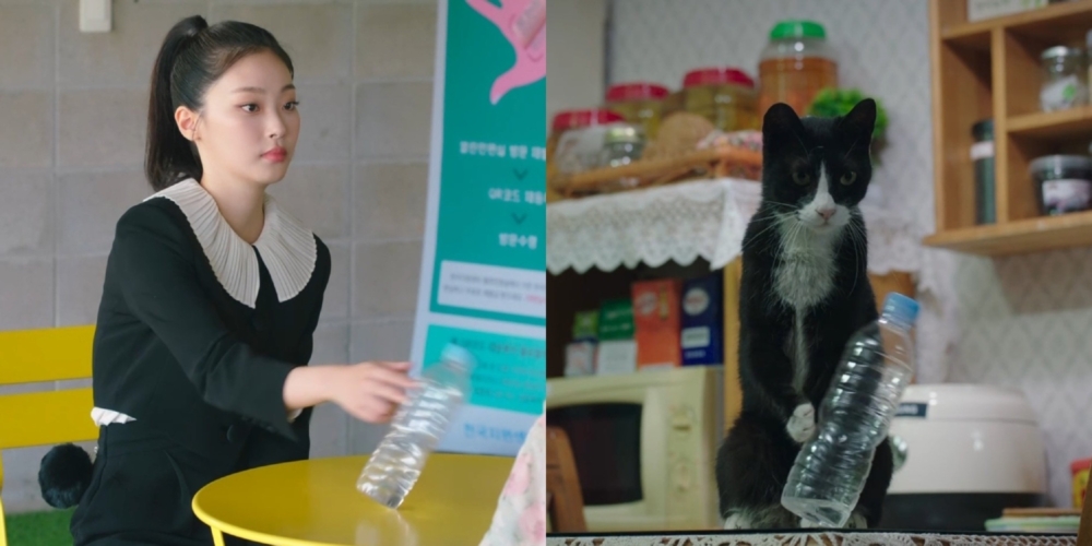 崔熙真「貓演技」太傳神被讚爆