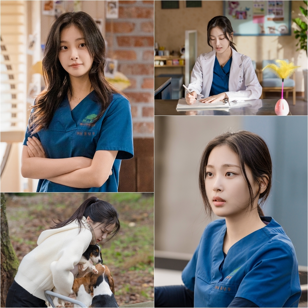 《加州汽車旅館》