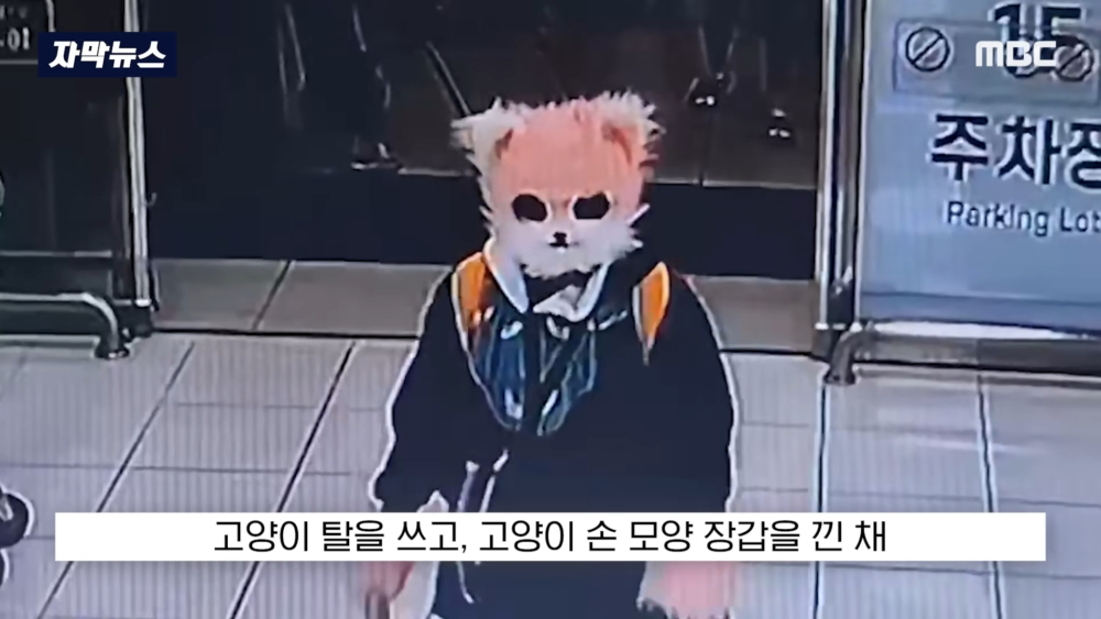 20多歲女性A某戴著貓咪面具現身賣場