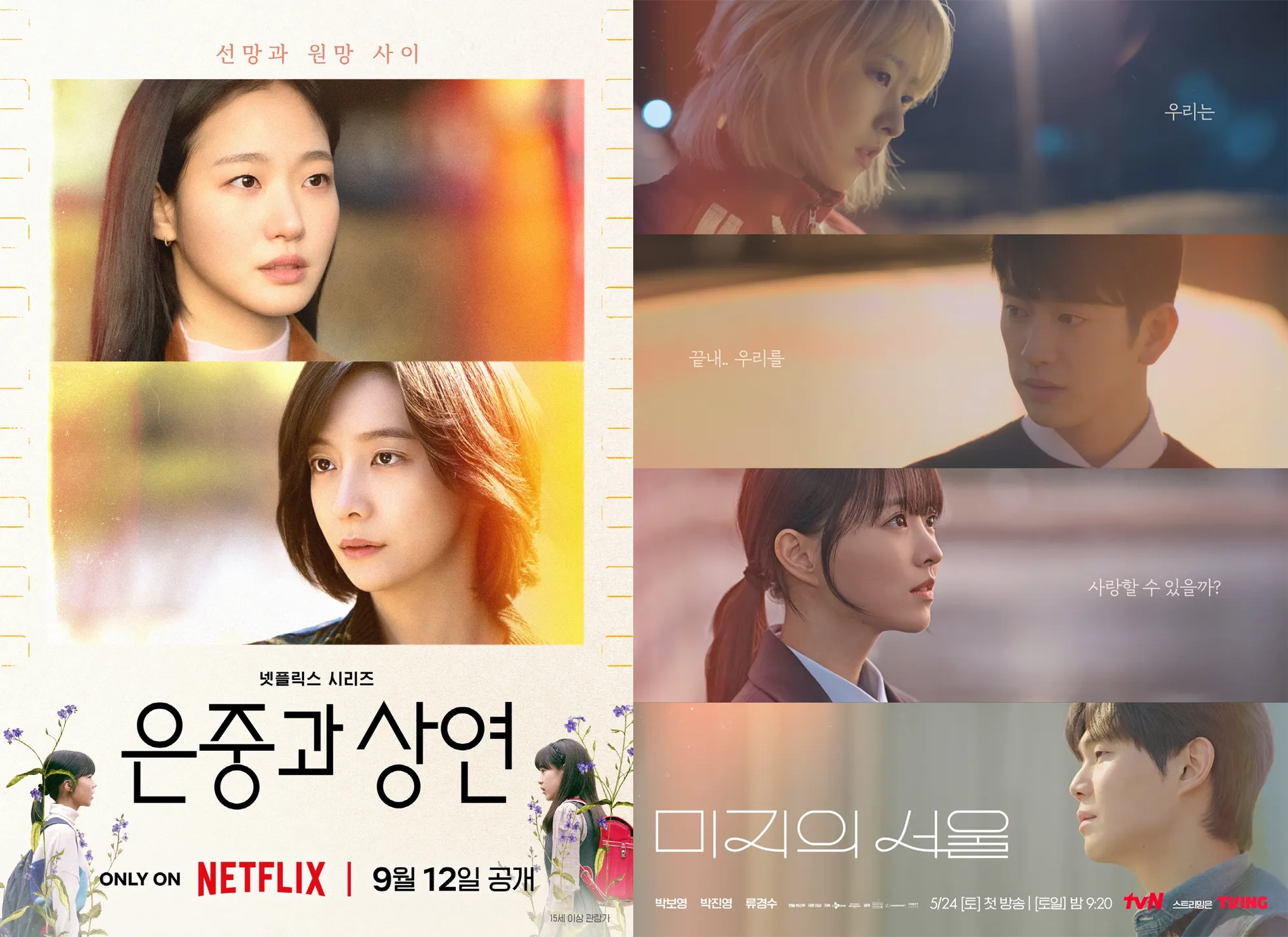 《妳和其餘的一切》、《未知的首爾》