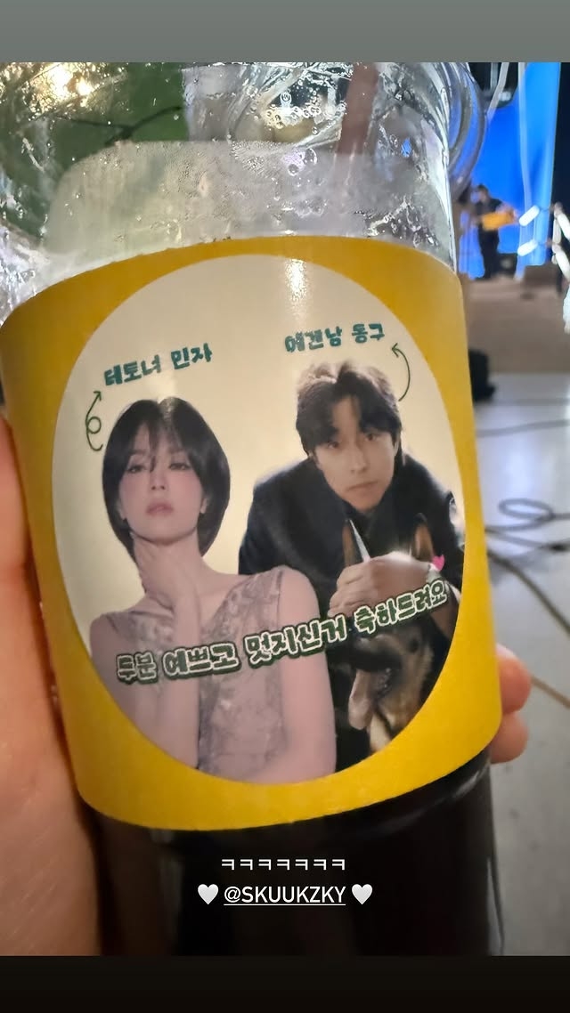 宋慧喬在IG上傳認證照感謝秀智