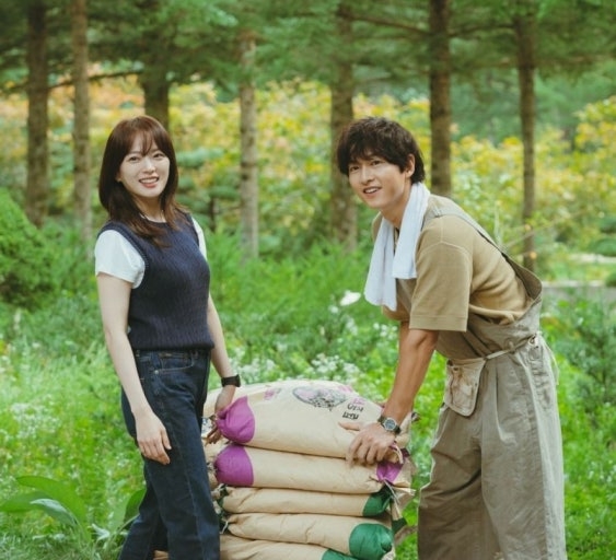 《我的青春》話題與收視表現卻略顯平淡