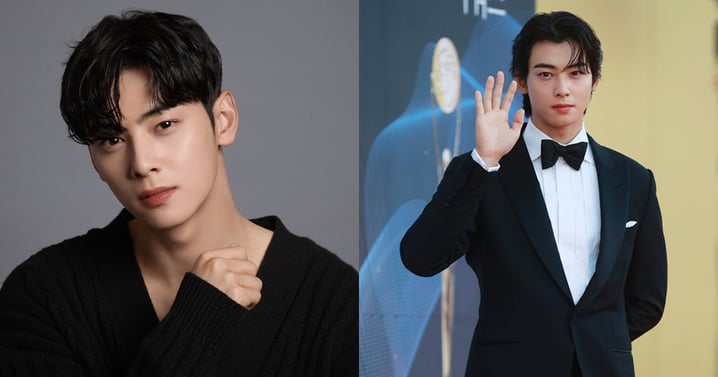 韓國納稅人聯盟為車銀優發聲「稅收規避是權利」：應遵守無罪推定原則！