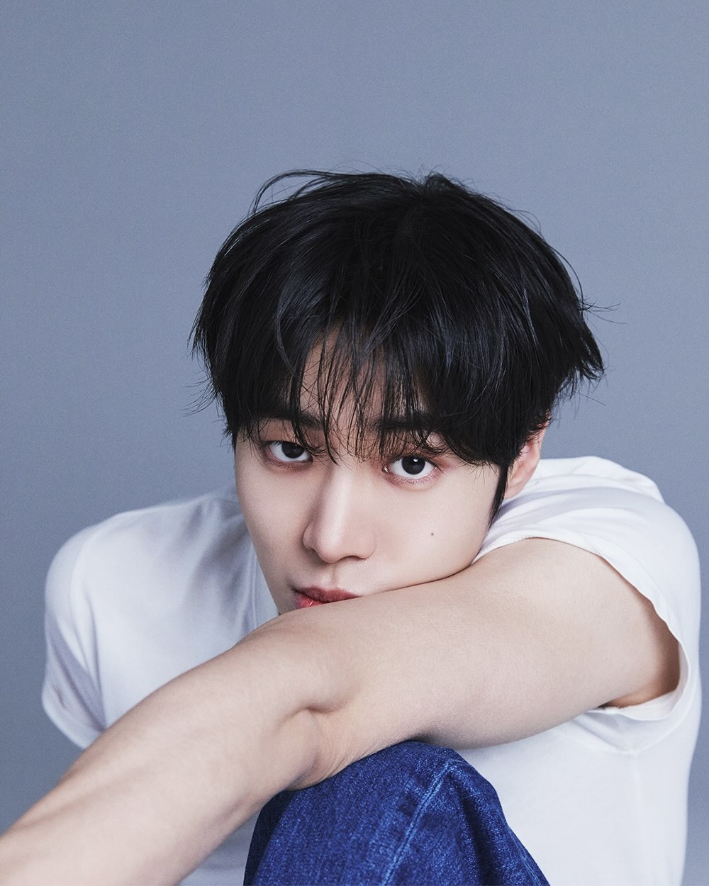 秋英宇新公式照